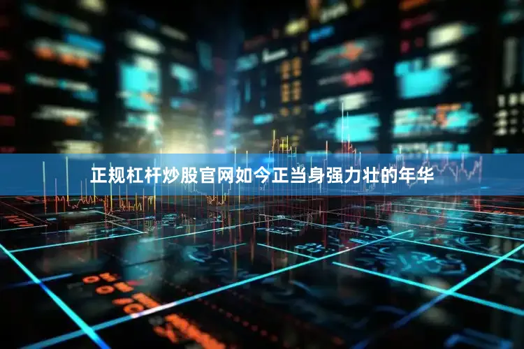 正规杠杆炒股官网如今正当身强力壮的年华