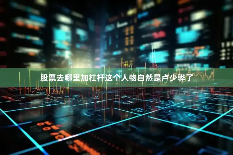 股票去哪里加杠杆这个人物自然是卢少骅了