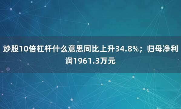 炒股10倍杠杆什么意思同比上升34.8%；归母净利润1961.3万元