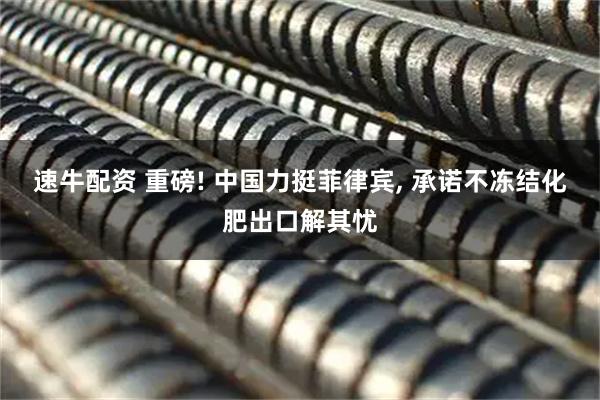 速牛配资 重磅! 中国力挺菲律宾, 承诺不冻结化肥出口解其忧