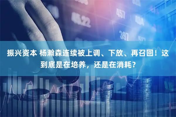 振兴资本 杨瀚森连续被上调、下放、再召回!这到底是在培养,还是在消耗?