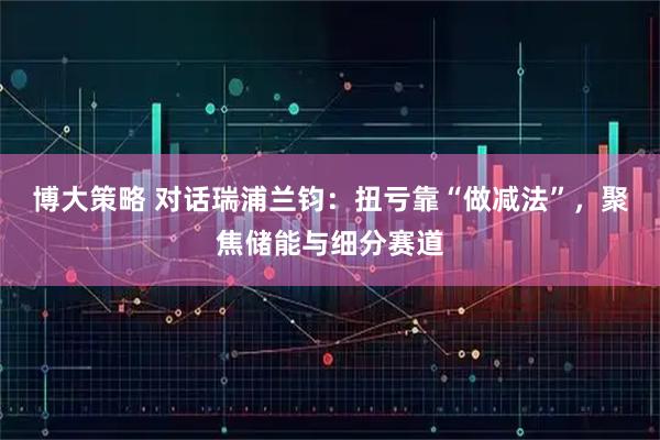 博大策略 对话瑞浦兰钧:扭亏靠“做减法”,聚焦储能与细分赛道