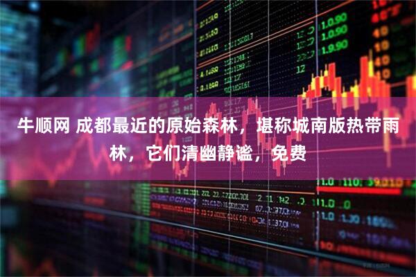 牛顺网 成都最近的原始森林，堪称城南版热带雨林，它们清幽静谧，免费